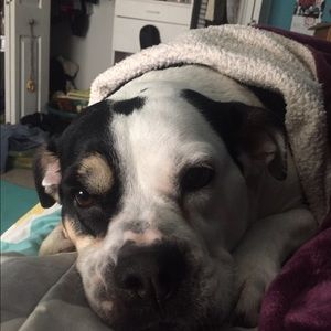 Meet your Posher, Liz