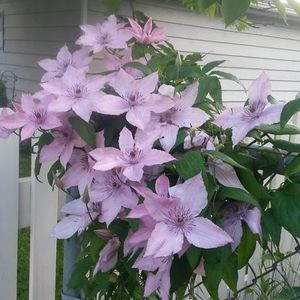 Meet your Posher, Judy