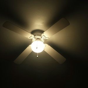 Meet your Posher, Clarissa