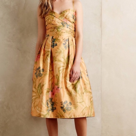 NWT Spring/Summer Anthro Dress