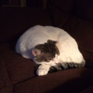 Meet your Posher, Somer