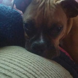 Meet your Posher, Kim