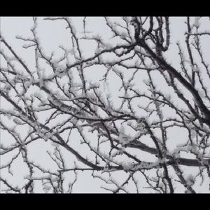 Meet your Posher, Josie