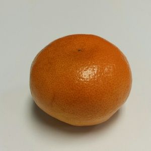 Meet your Posher, Raymond