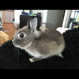 Meet your Posher, Jill