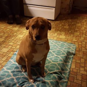 Meet your Posher, Deanna