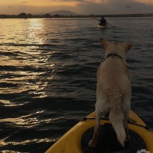 Meet your Posher, Sandra