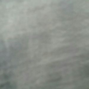 Meet your Posher, Shanae