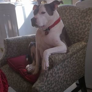 Meet your Posher, Carolin jd