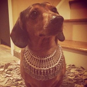 Meet your Posher, Jennifer