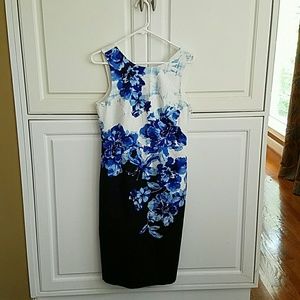 Anthropologist Vanda pencil dress