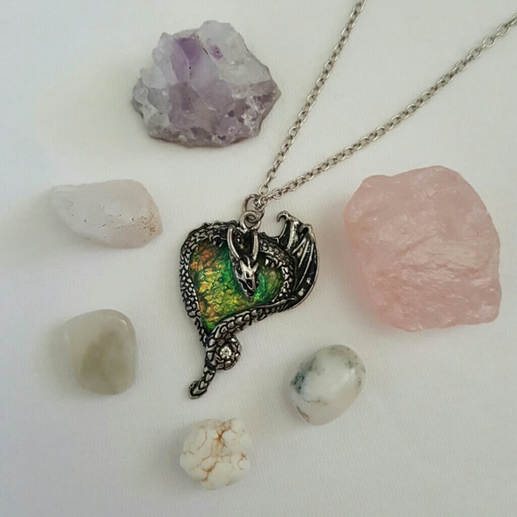 NWOT Dragon Pendant