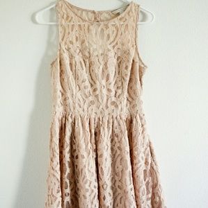 lauren conrad lace fit and flare dress + bonus