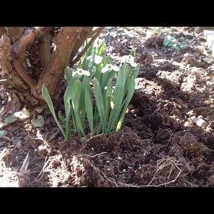 Meet your Posher, Joe