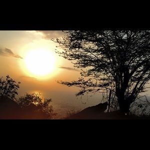 Meet your Posher, Daniella