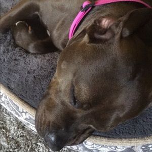 Meet your Posher, Angela