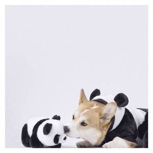 Meet your Posher, Thao