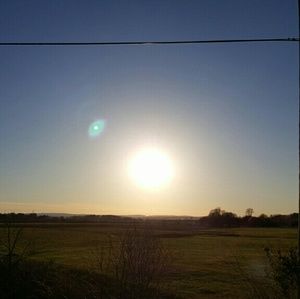 Meet your Posher, Lynn