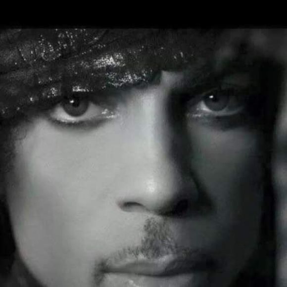 Meet your Posher, Rochelle - Picture 1 of 1