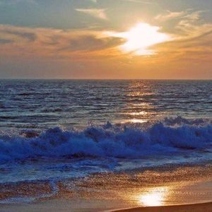 Meet your Posher, Liseth