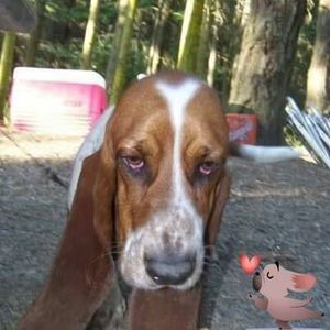 Meet your Posher, Debra