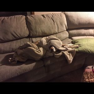 Meet your Posher, Tracy