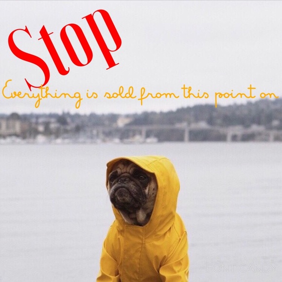 Turn Around- everything is sold from this point on