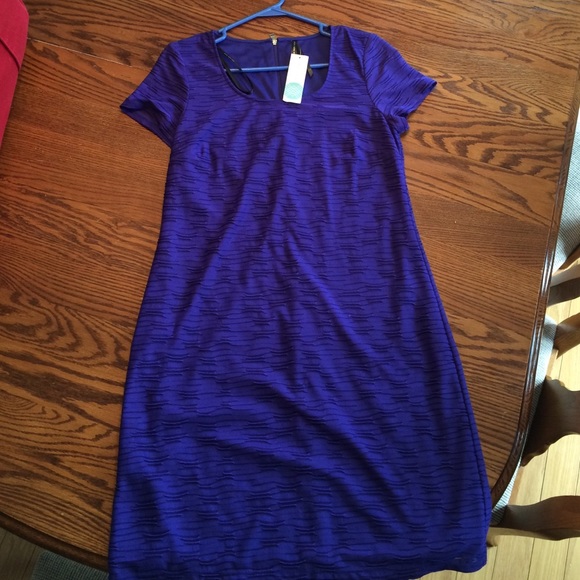 Andrew Marc Cora Shift Dress