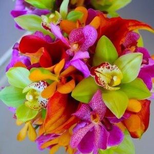 Meet your Posher, Dawn