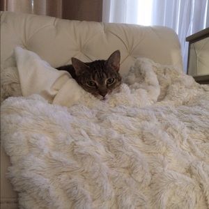 Meet your Posher, Lindsey