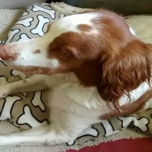 Meet your Posher, Ashlie