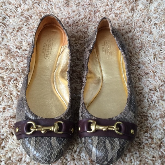 Coach snake skin buckle flats - Picture 1 of 4
