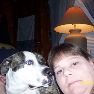 Meet your Posher, Laurie