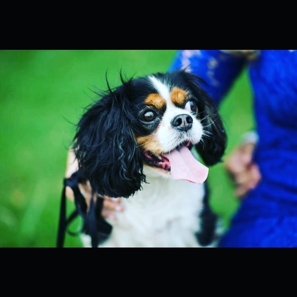 Meet Your Seller! - Picture 2 of 2