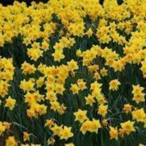 Meet your Posher, Gail