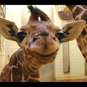 Meet your Posher, Michelle