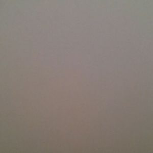 Meet your Posher, Selina