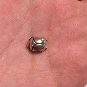 Scarab Beetle Charm