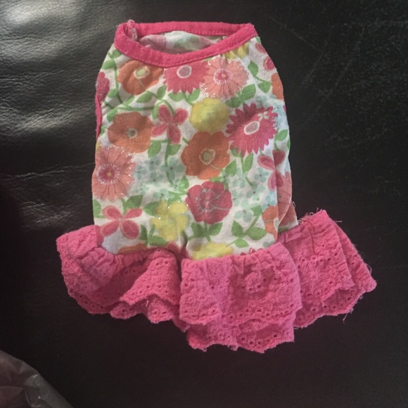 Dog clothes, dress