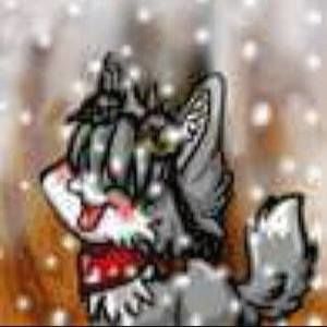 Meet your Posher, Erick