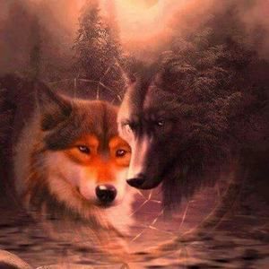 Meet your Posher, Willene