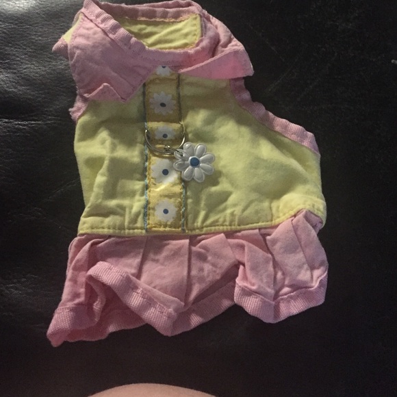 Dog clothes, dress, harness