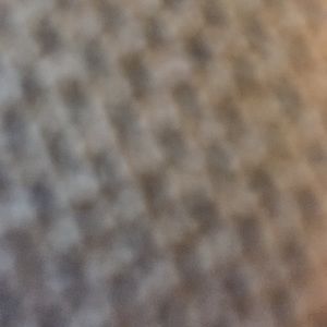 Meet your Posher, Shauna