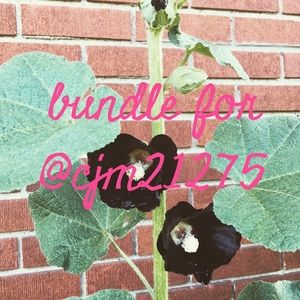 Cato Top, City Streets Shirt, and Decree Shorts.