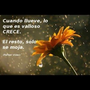 Meet your Posher, Mildred