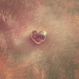 Heart shaped pandora charm