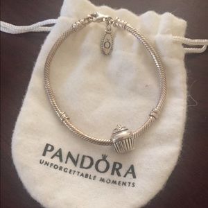 Silver pandora bracelet and charm