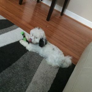 Meet your Posher, Kiwanis