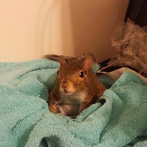 Meet your Posher, Wendy