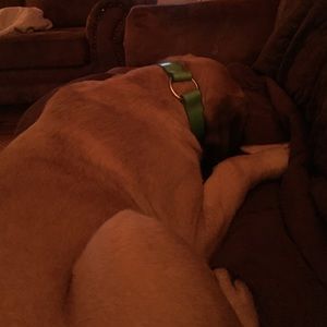 Meet your Posher, Kelsey